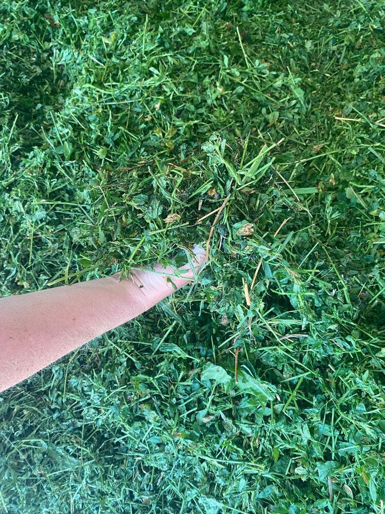 Herbimals Herbimals Luzerne - grof gehakseld Herbimals Herbimals Luzerne - grof gehakseld