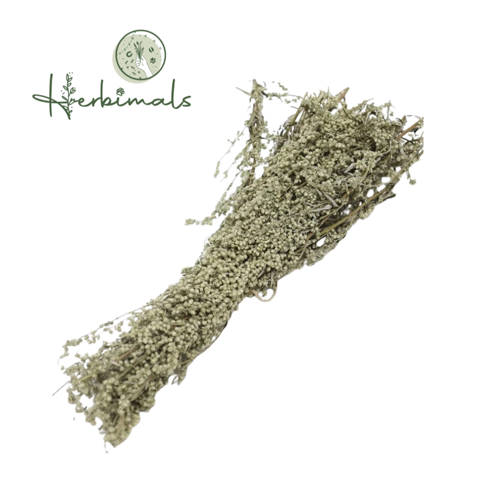 Herbimals Herbimals Bijvoet struikje- gedroogd - 1 stuk Herbimals Herbimals Bijvoet struikje- gedroogd - 1 stuk