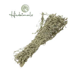 Herbimals Herbimals Bijvoet struikje- gedroogd - 1 stuk Herbimals Herbimals Bijvoet struikje- gedroogd - 1 stuk