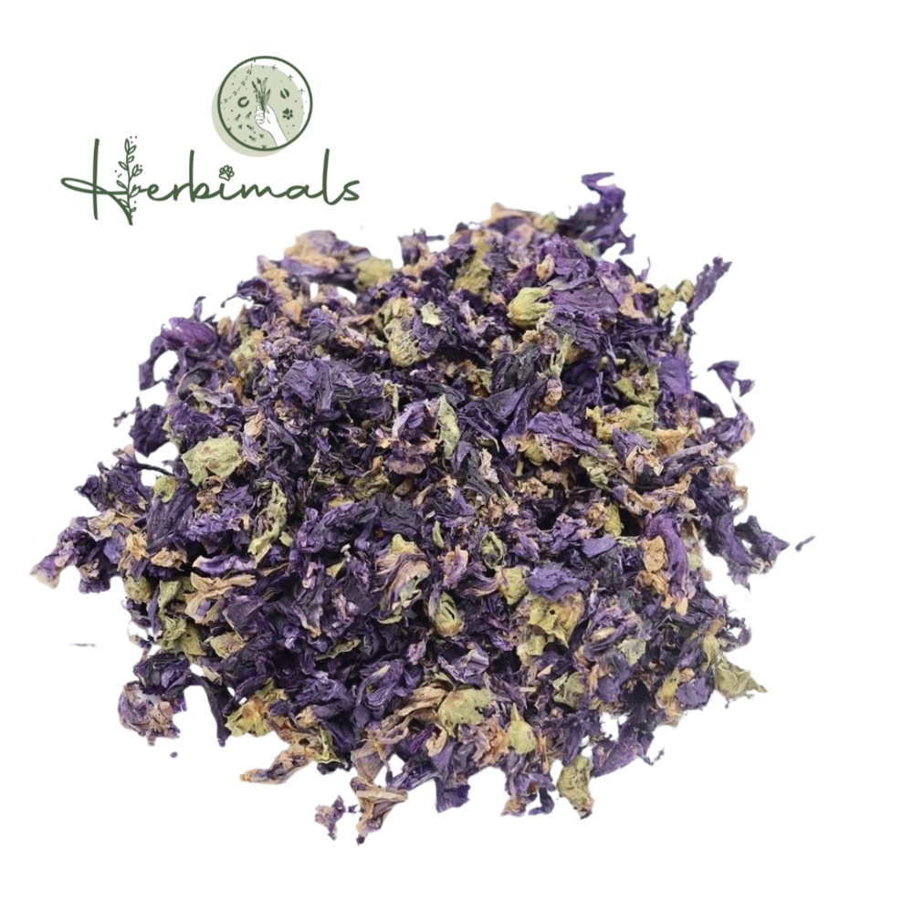 Herbimals Herbimals Kaasjeskruidbloemen blauw Herbimals Herbimals Kaasjeskruidbloemen blauw