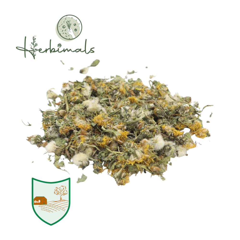 Herbimals Herbimals Paardenbloembloemen Herbimals Herbimals Paardenbloembloemen