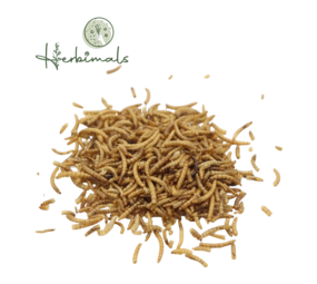 Herbimals Herbimals Meelwormen Herbimals Herbimals Meelwormen