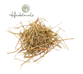 Herbimals Herbimals Steenbreker - Chanca piedra - grof Herbimals Herbimals Steenbreker - Chanca piedra - grof