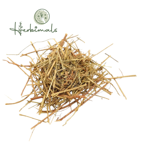 Herbimals Herbimals Steenbreker - Chanca piedra - grof Herbimals Herbimals Steenbreker - Chanca piedra - grof