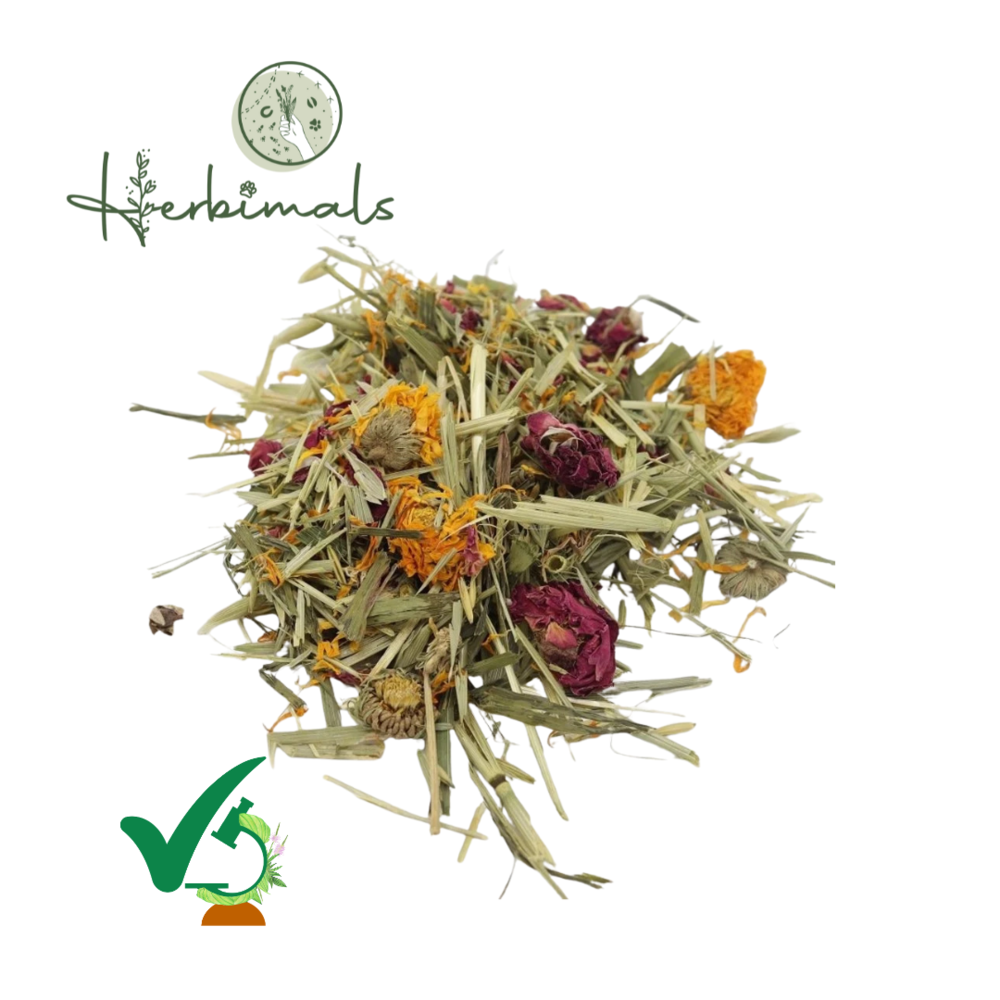 Herbimals Herbimals Cavia bloemenmix Herbimals Herbimals Cavia bloemenmix