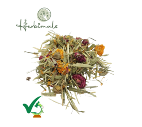 Herbimals Herbimals Cavia bloemenmix Herbimals Herbimals Cavia bloemenmix