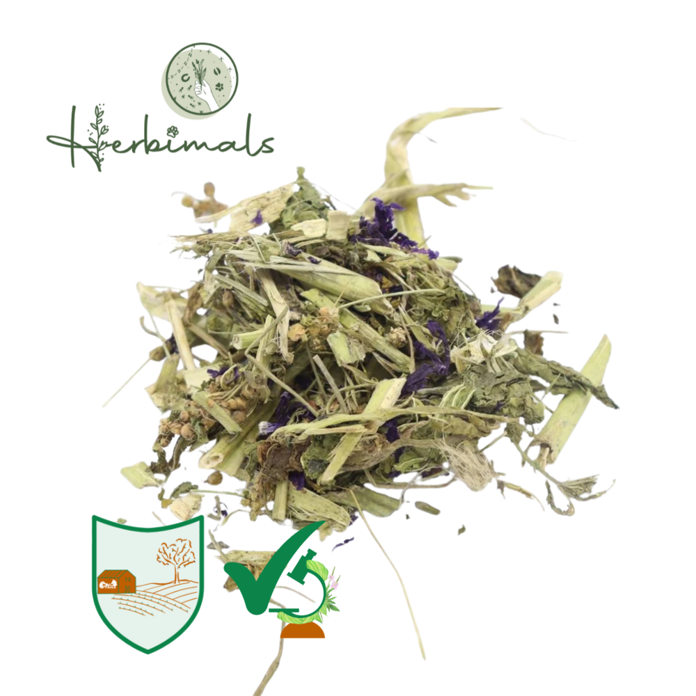 Herbimals Herbimals Kaasjeskruid plant - grof Herbimals Herbimals Kaasjeskruid plant - grof