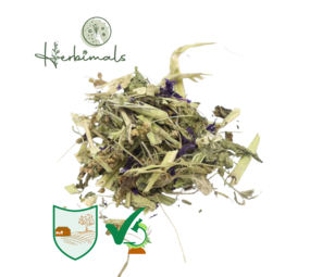 Herbimals Herbimals Kaasjeskruid plant - grof Herbimals Herbimals Kaasjeskruid plant - grof