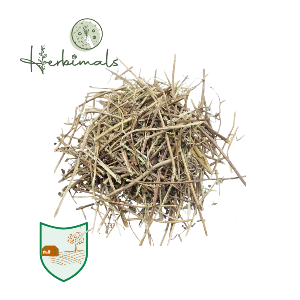 Herbimals Herbimals Wilde Marjolein - Oregano - Origanum vulgare - grof Herbimals Herbimals Wilde Marjolein - Oregano - Origanum vulgare - grof