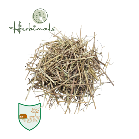 Herbimals Herbimals Wilde Marjolein - Oregano - Origanum vulgare - grof Herbimals Herbimals Wilde Marjolein - Oregano - Origanum vulgare - grof