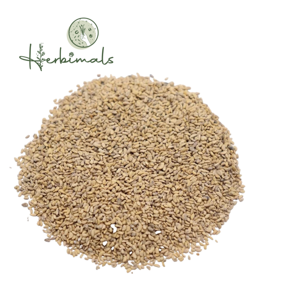 Herbimals Herbimals Framboos zaden - Rubus idaeus Herbimals Herbimals Framboos zaden - Rubus idaeus