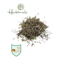 Herbimals Herbimals Pepermuntplant - grof Herbimals Herbimals Pepermuntplant - grof