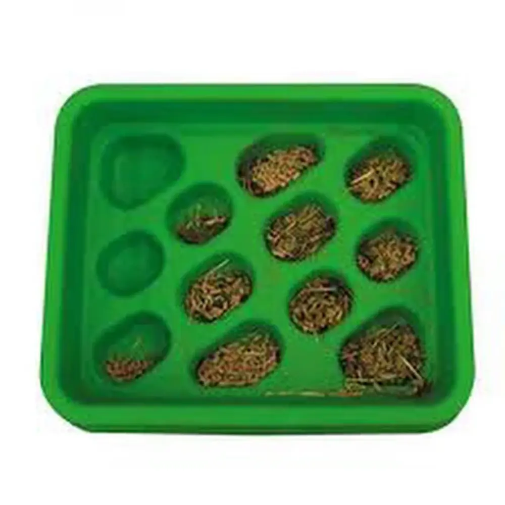 Parallax Parallax Grad-Dual Feeder - Foerageer Voerbak - Groen Parallax Parallax Grad-Dual Feeder - Foerageer Voerbak - Groen