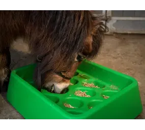 Parallax Parallax Grad-Dual Feeder - Foerageer Voerbak - Groen Parallax Parallax Grad-Dual Feeder - Foerageer Voerbak - Groen