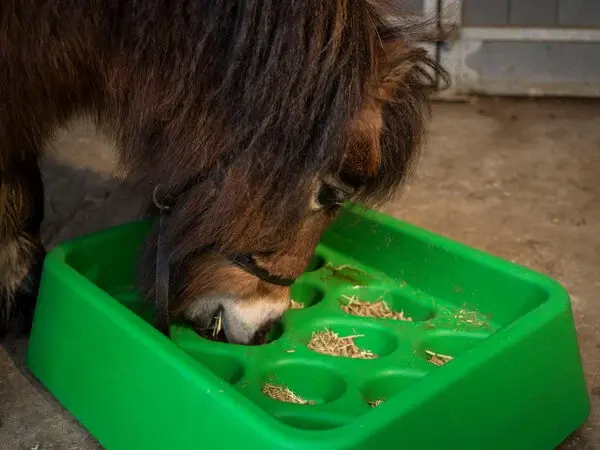 Parallax Parallax Grad-Dual Feeder - Foerageer Voerbak - Groen Parallax Parallax Grad-Dual Feeder - Foerageer Voerbak - Groen