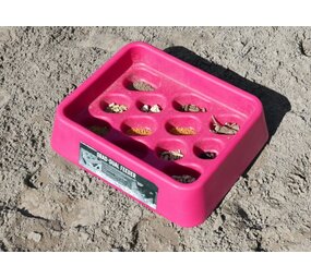 Parallax Parallax Grad-Dual Feeder - Foerageer Voerbak - Roze Parallax Parallax Grad-Dual Feeder - Foerageer Voerbak - Roze