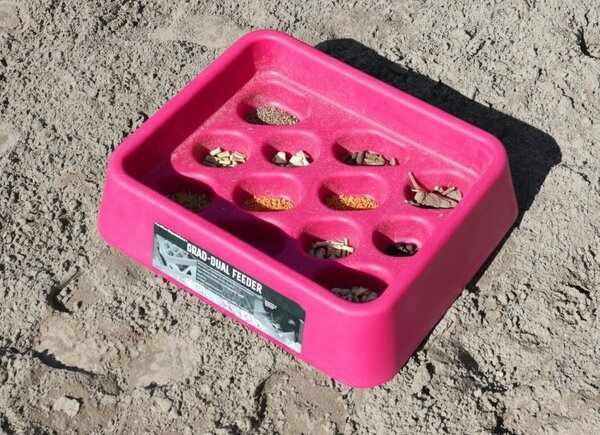 Parallax Parallax Grad-Dual Feeder - Foerageer Voerbak - Roze Parallax Parallax Grad-Dual Feeder - Foerageer Voerbak - Roze