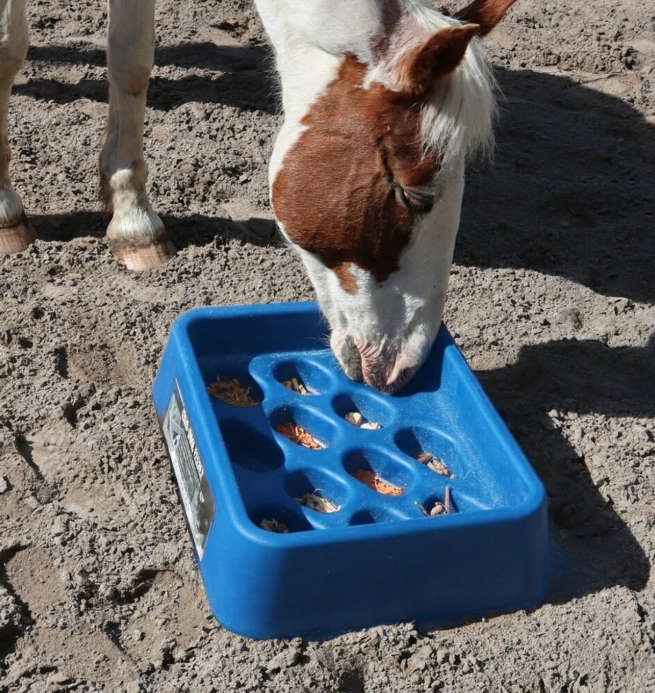 Parallax Parallax Grad-Dual Feeder - Foerageer Voerbak - Blauw Parallax Parallax Grad-Dual Feeder - Foerageer Voerbak - Blauw