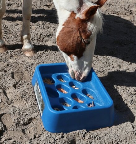 Parallax Parallax Grad-Dual Feeder - Foerageer Voerbak - Blauw Parallax Parallax Grad-Dual Feeder - Foerageer Voerbak - Blauw