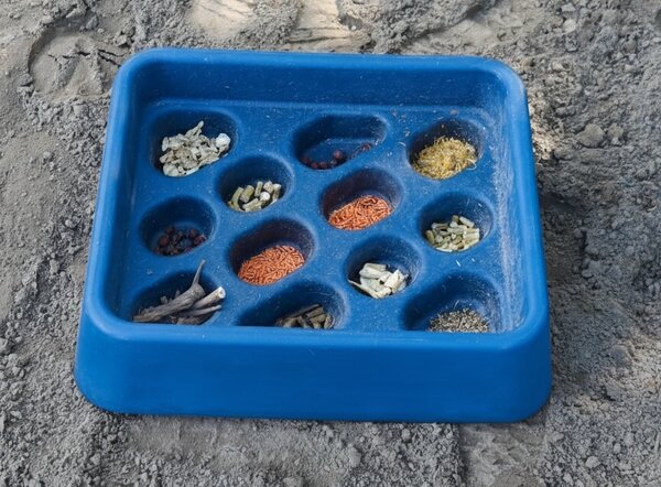 Parallax Parallax Grad-Dual Feeder - Foerageer Voerbak - Blauw Parallax Parallax Grad-Dual Feeder - Foerageer Voerbak - Blauw