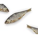 Bark-Bite Bark-Bite Fish - Voorn - 200 gram Bark-Bite Bark-Bite Fish - Voorn - 200 gram
