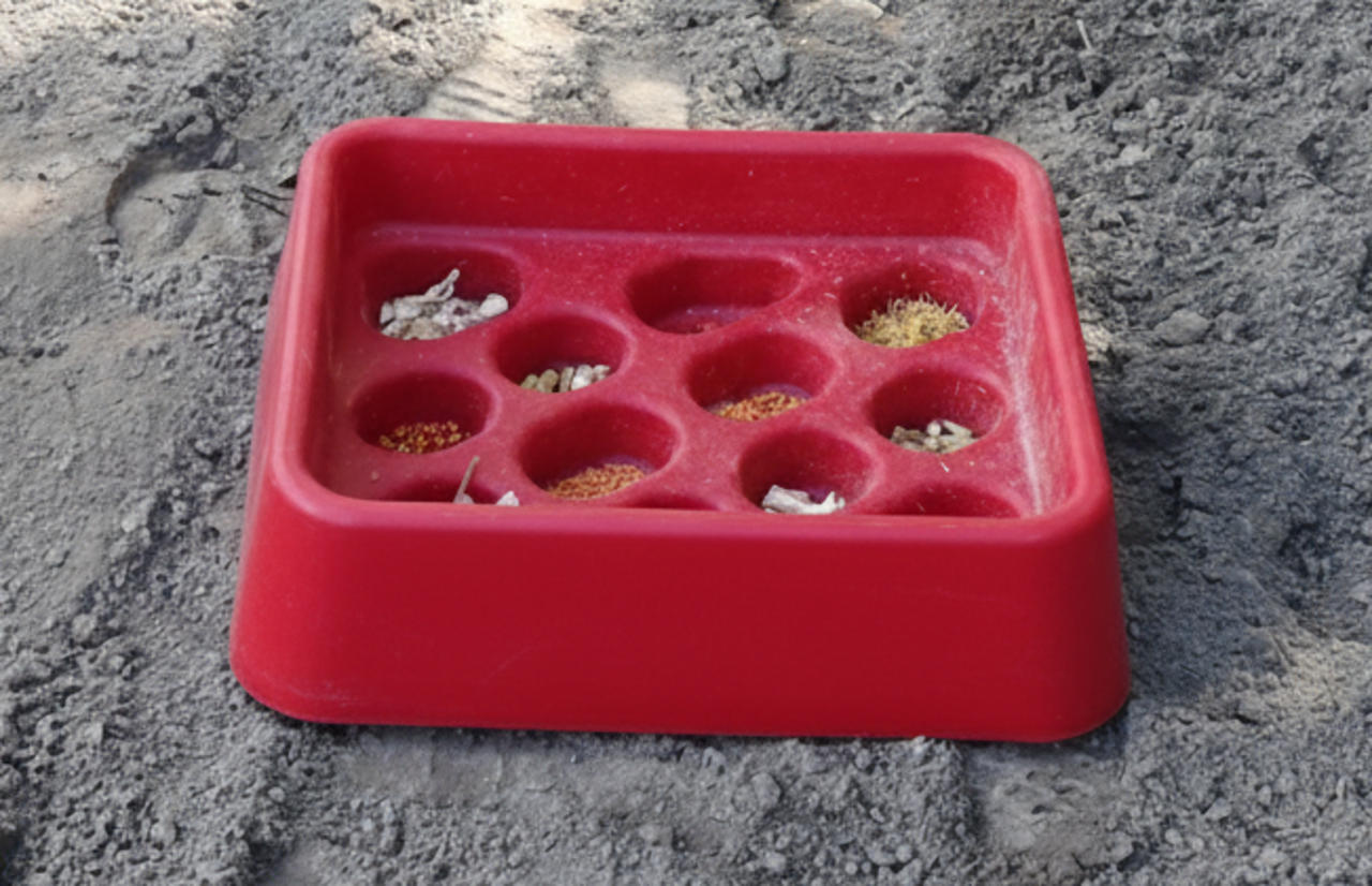 Parallax Parallax Grad-Dual Feeder - Foerageer Voerbak - Rood Parallax Parallax Grad-Dual Feeder - Foerageer Voerbak - Rood