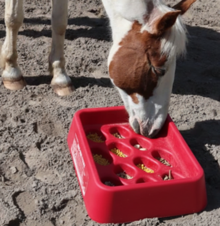 Parallax Parallax Grad-Dual Feeder - Foerageer Voerbak - Rood Parallax Parallax Grad-Dual Feeder - Foerageer Voerbak - Rood