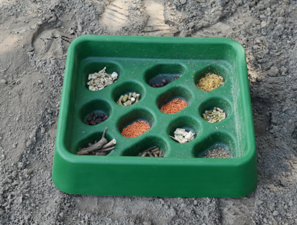 Parallax Parallax Grad-Dual Feeder - Foerageer Voerbak - Groen Parallax Parallax Grad-Dual Feeder - Foerageer Voerbak - Groen