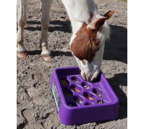 Parallax Parallax Grad-Dual Feeder - Foerageer Voerbak - Paars Parallax Parallax Grad-Dual Feeder - Foerageer Voerbak - Paars