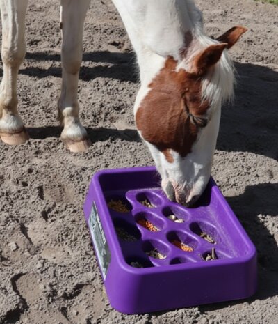 Parallax Parallax Grad-Dual Feeder - Foerageer Voerbak - Paars Parallax Parallax Grad-Dual Feeder - Foerageer Voerbak - Paars