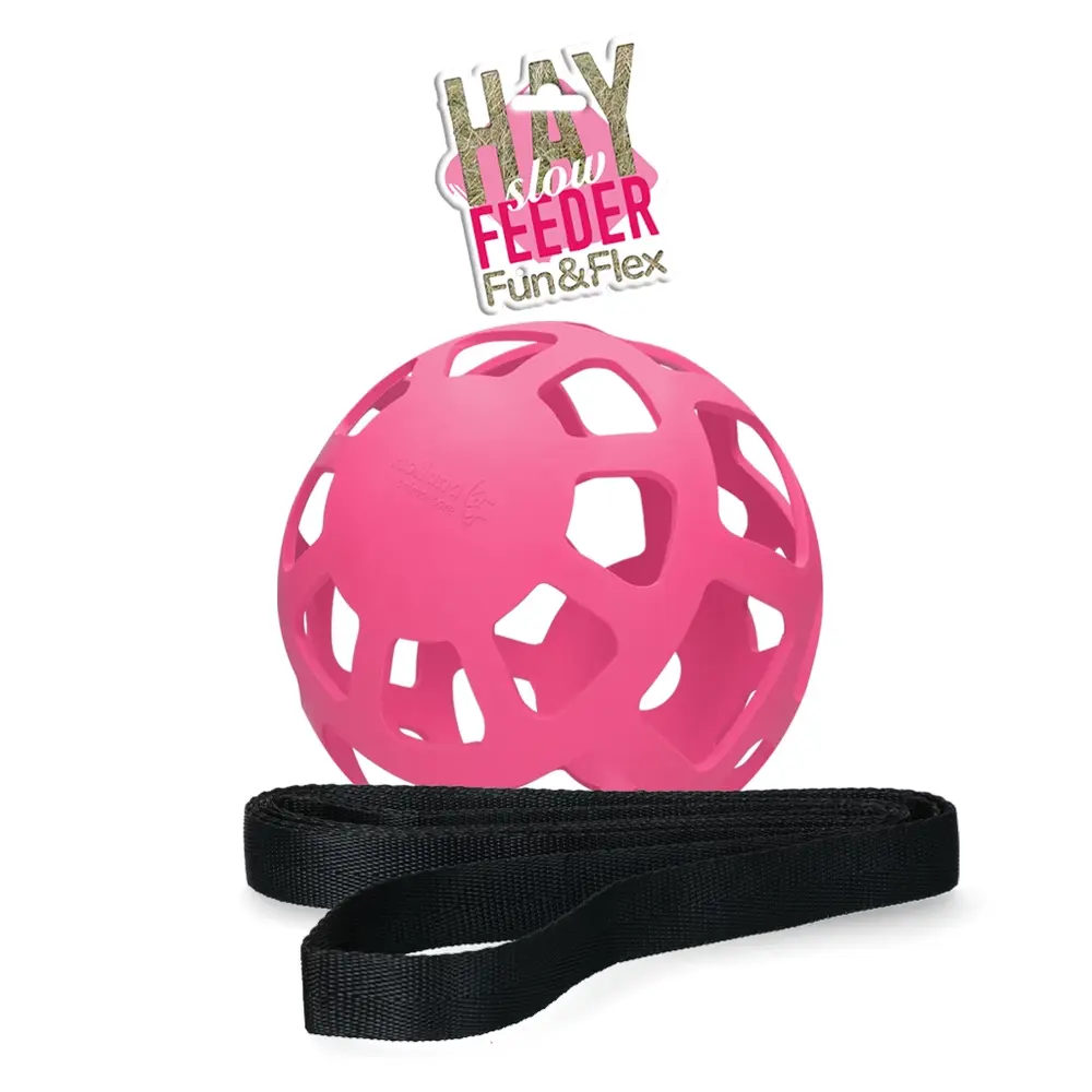 Fun & Flex Fun en Flex Bal Slowfeeder - 22 cm - Roze Fun & Flex Fun en Flex Bal Slowfeeder - 22 cm - Roze