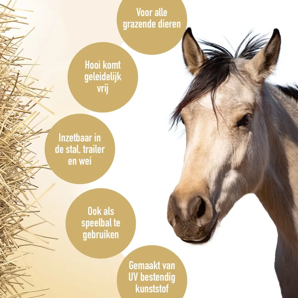 Fun & Flex Fun en Flex Bal Slowfeeder - 22 cm - Groen Fun & Flex Fun en Flex Bal Slowfeeder - 22 cm - Groen