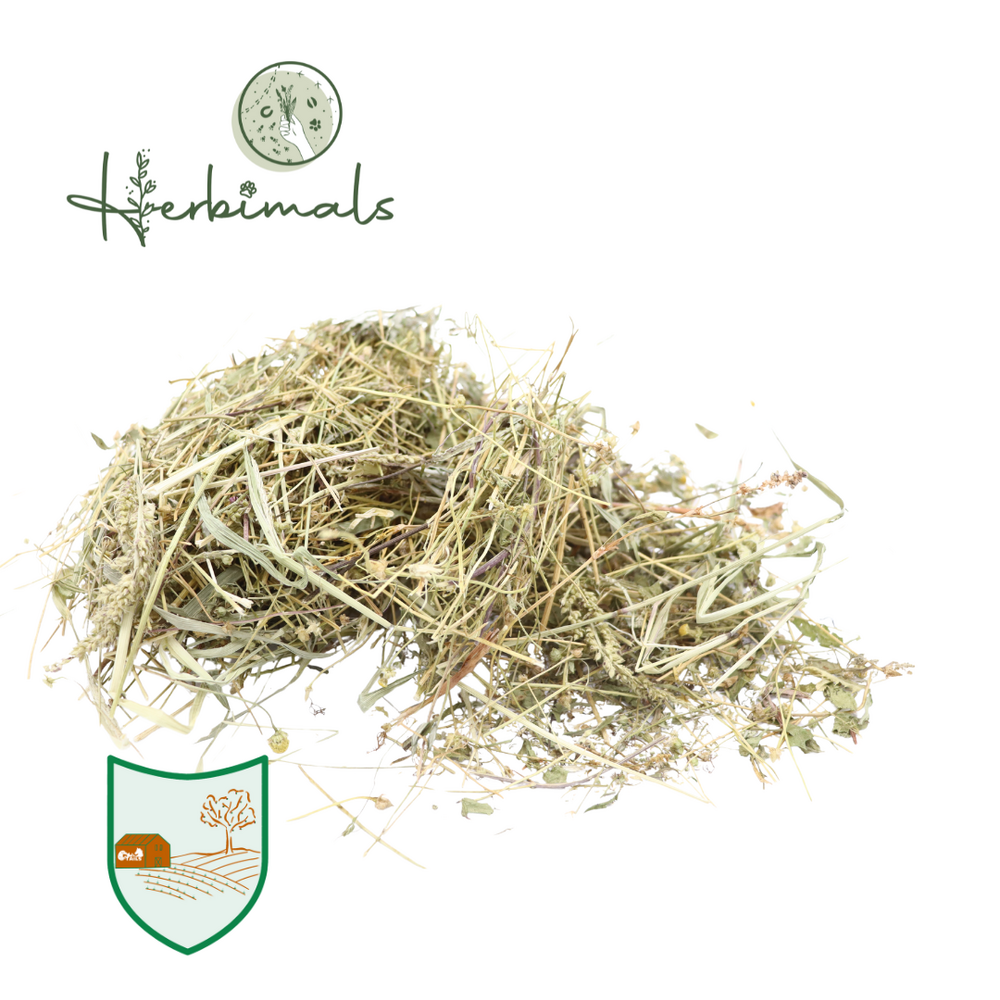 Herbimals Herbimals Kamilleplant - grof gehakseld Herbimals Herbimals Kamilleplant - grof gehakseld