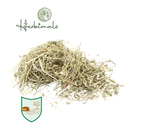 Herbimals Herbimals Kamilleplant - grof gehakseld Herbimals Herbimals Kamilleplant - grof gehakseld