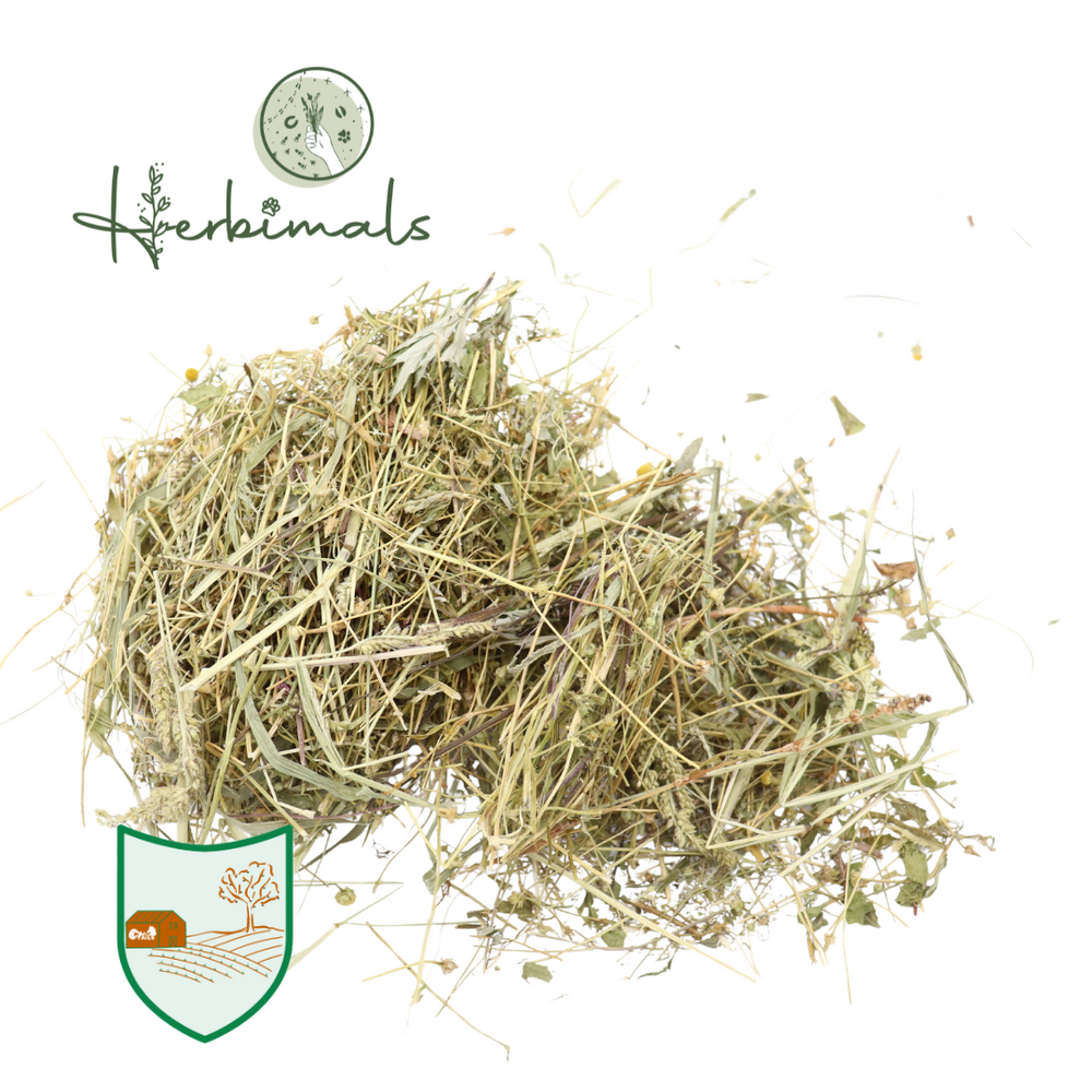 Herbimals Herbimals Kamilleplant - grof gehakseld Herbimals Herbimals Kamilleplant - grof gehakseld