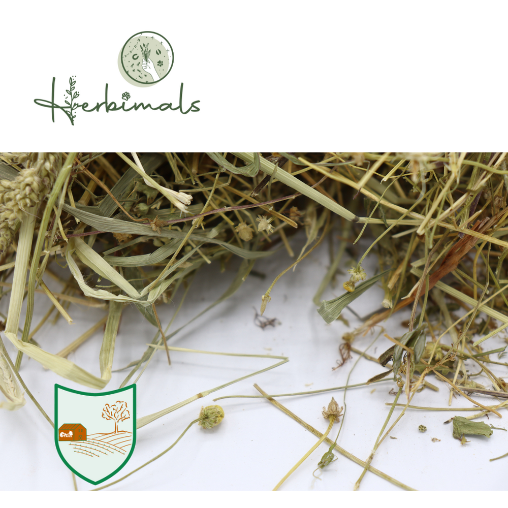 Herbimals Herbimals Kamilleplant - grof gehakseld Herbimals Herbimals Kamilleplant - grof gehakseld