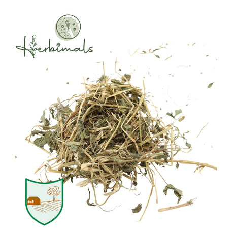 Herbimals Herbimals Boekweitplant - grof Herbimals Herbimals Boekweitplant - grof