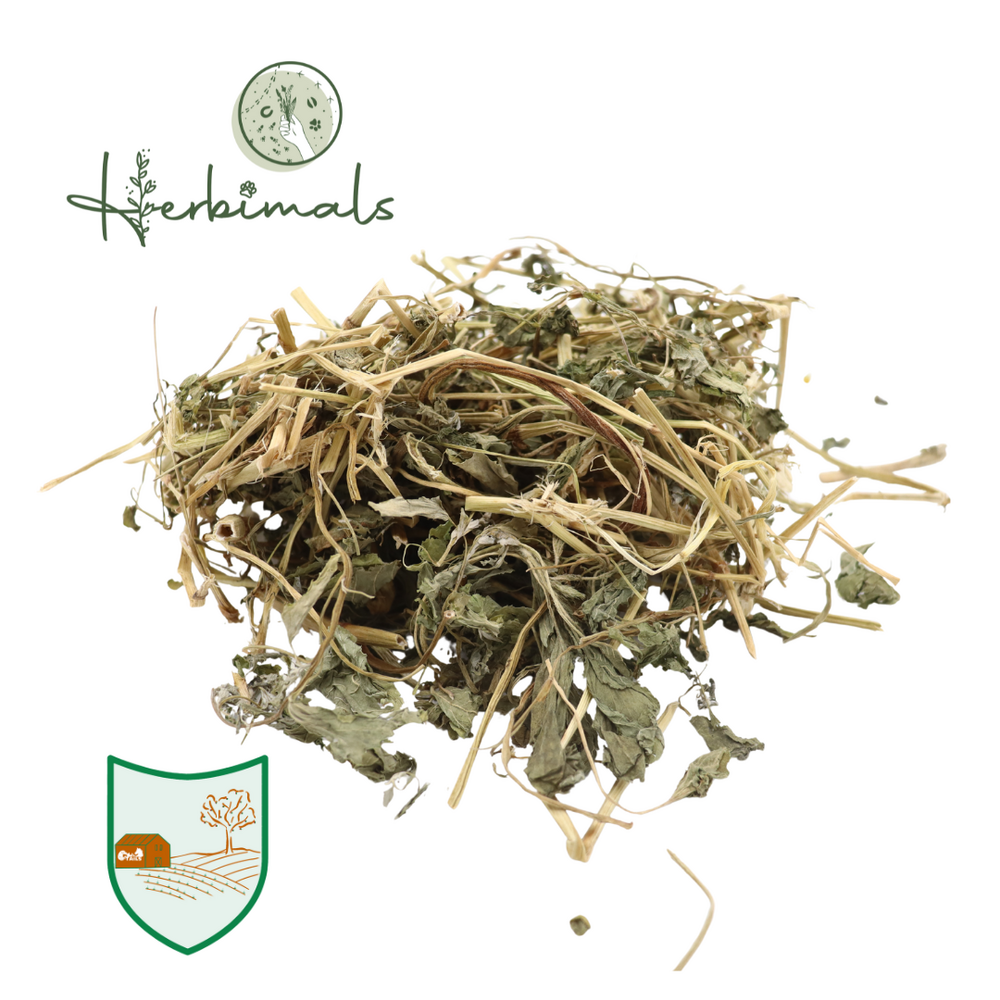 Herbimals Herbimals Boekweitplant - grof Herbimals Herbimals Boekweitplant - grof