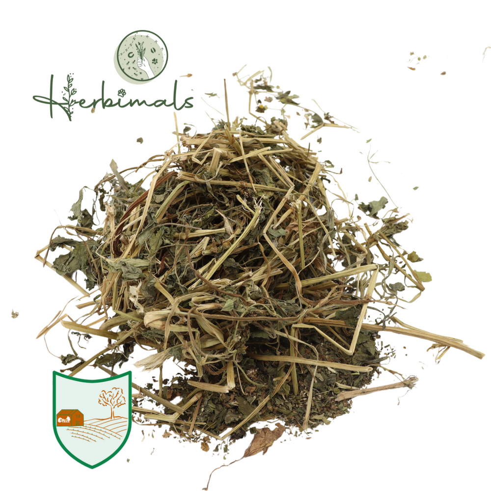 Herbimals Herbimals Rode klaverplant met blad en bloem Herbimals Herbimals Rode klaverplant met blad en bloem