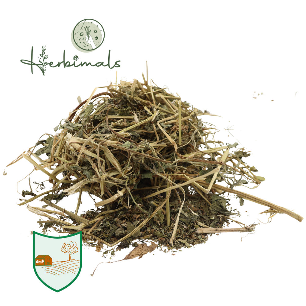 Herbimals Herbimals Rode klaverplant met blad en bloem Herbimals Herbimals Rode klaverplant met blad en bloem