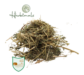 Herbimals Herbimals Rode klaverplant met blad en bloem Herbimals Herbimals Rode klaverplant met blad en bloem