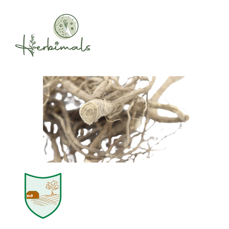 Herbimals Herbimals Heemstwortel - grof