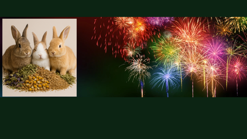 Vuurwerkstress bij dieren; oorzaken, kruiden en ondersteuning.