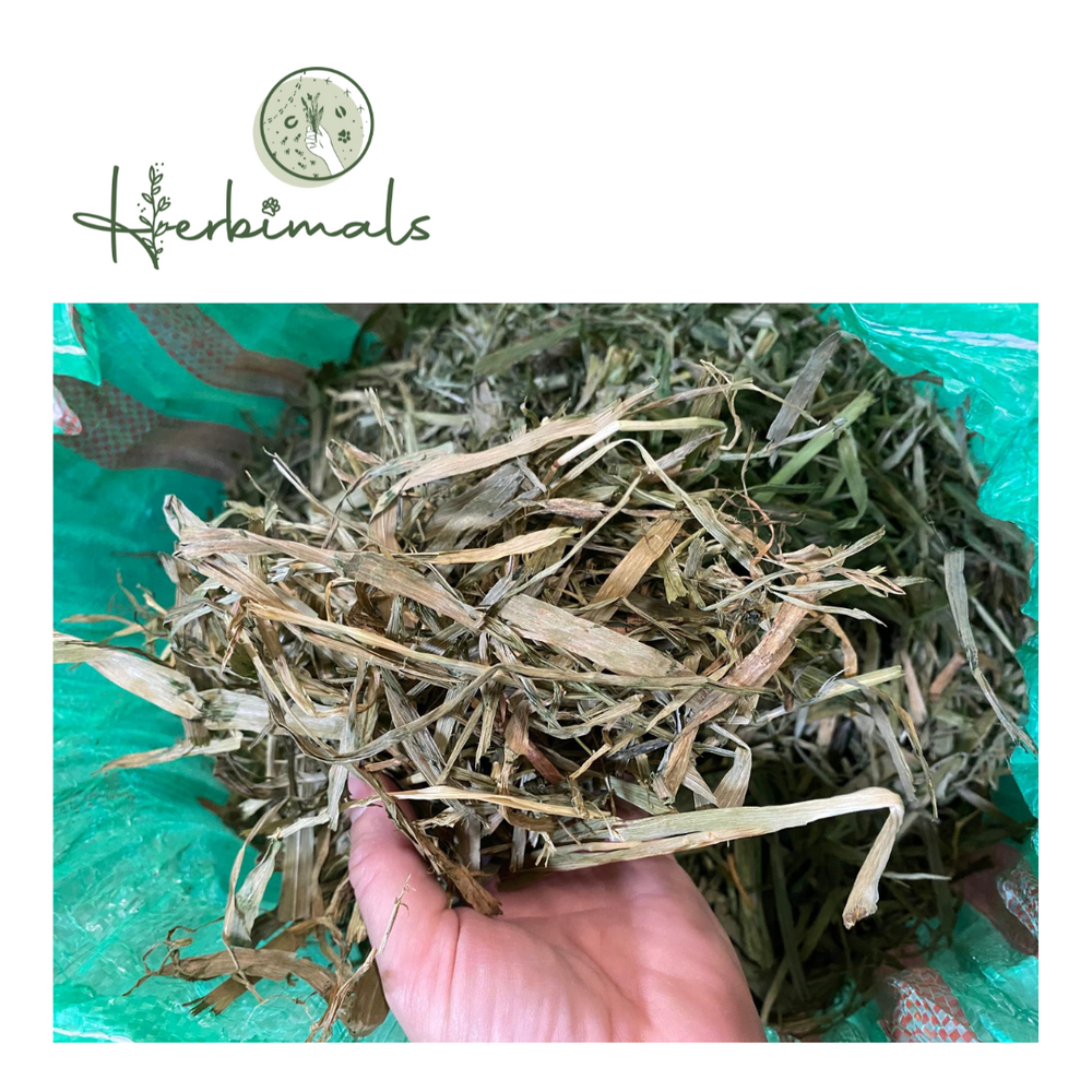 Herbimals Herbimals Groene Haver - B kwaliteit Herbimals Herbimals Groene Haver - B kwaliteit