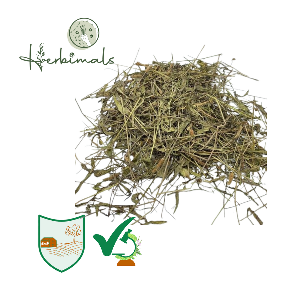 Herbimals Herbimals Smalle weegbree - extra grof - 1 kilo Herbimals Herbimals Smalle weegbree - extra grof - 1 kilo