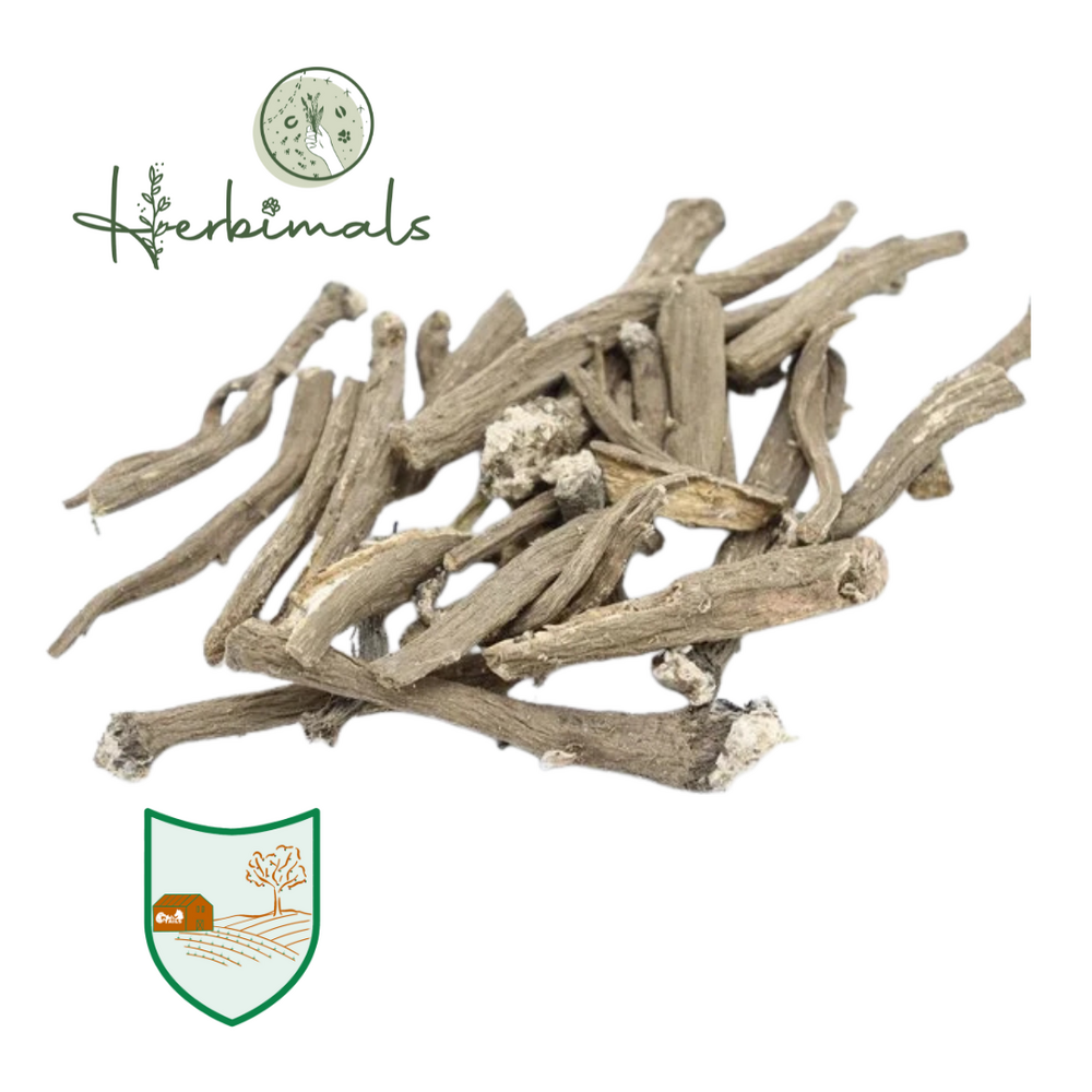 Herbimals Herbimals Grote klit - Grote kliswortel - heel Herbimals Herbimals Grote klit - Grote kliswortel - heel