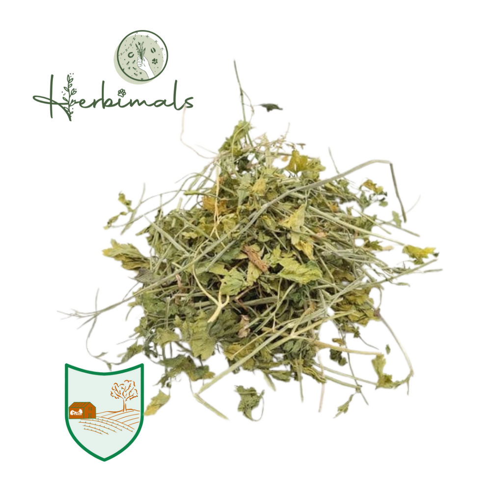 Herbimals Herbimals Peterselieplant - grof