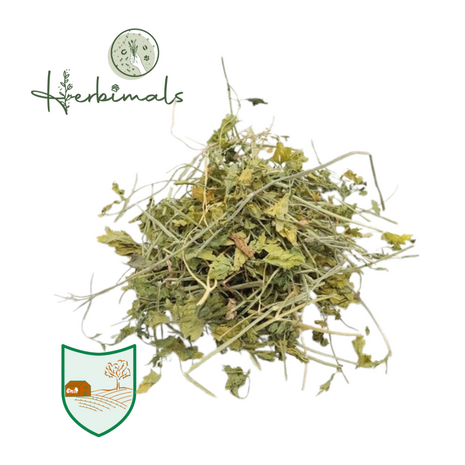 Herbimals Herbimals Peterselieplant - grof