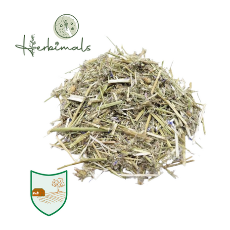 Herbimals Herbimals Korenbloemplant - grof