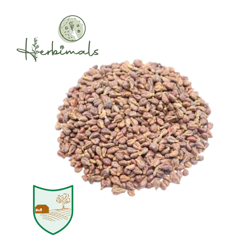 Herbimals Herbimals Druivenpitten Herbimals Herbimals Druivenpitten